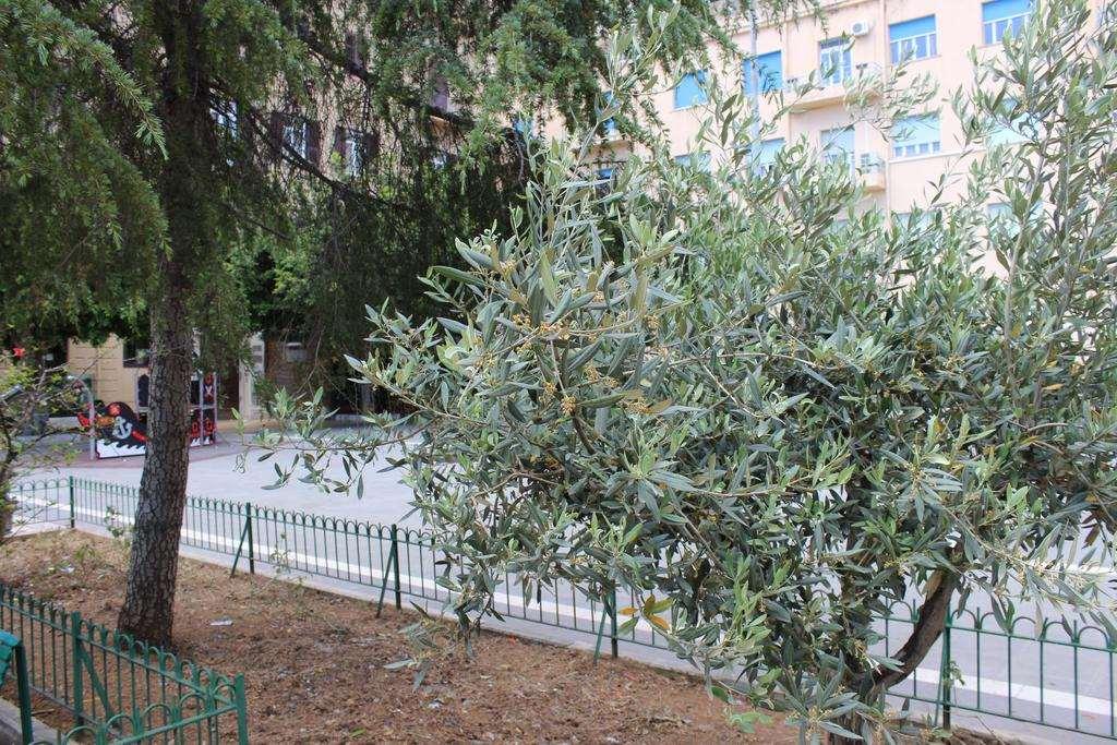 Del Viale